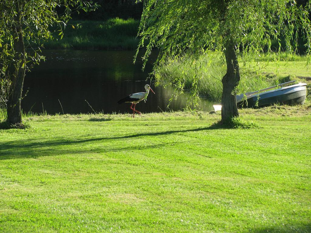 Farm stay Orlik Mazury Stare Jablonki