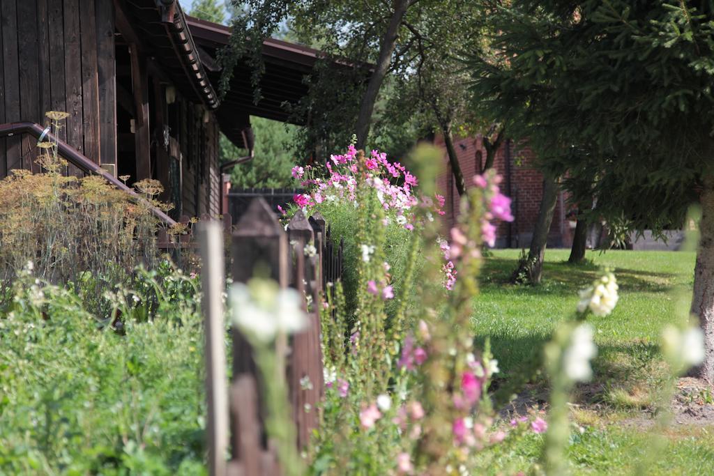 Orlik Mazury