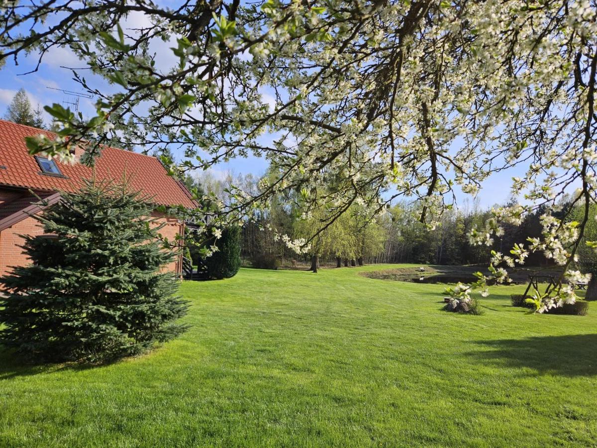 Farm stay Orlik Mazury Stare Jablonki