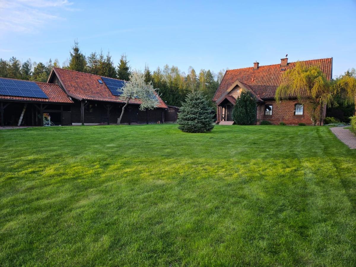 Orlik Mazury *